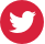 Twitter Icon